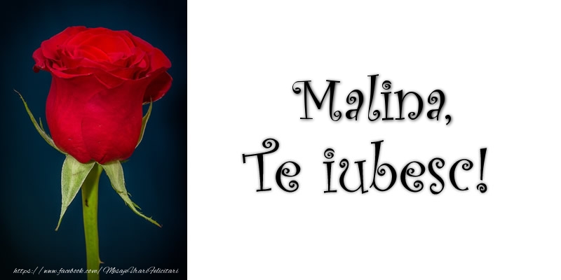 Felicitari de dragoste - Trandafiri | Malina Te iubesc!