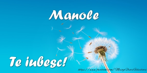 Felicitari de dragoste - Flori | Manole Te iubesc!
