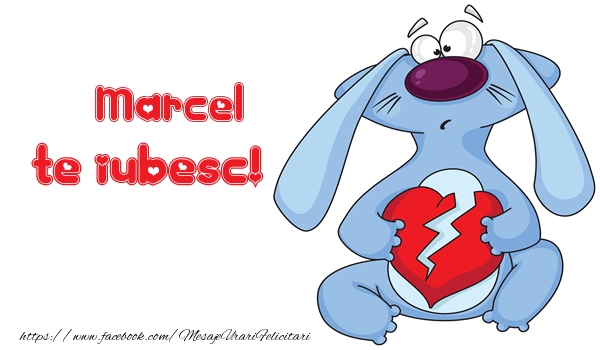 Felicitari de dragoste - Te iubesc Marcel!