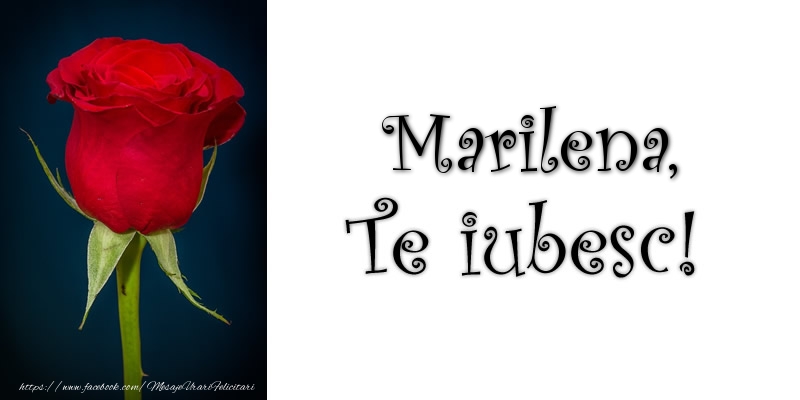 Felicitari de dragoste - Trandafiri | Marilena Te iubesc!