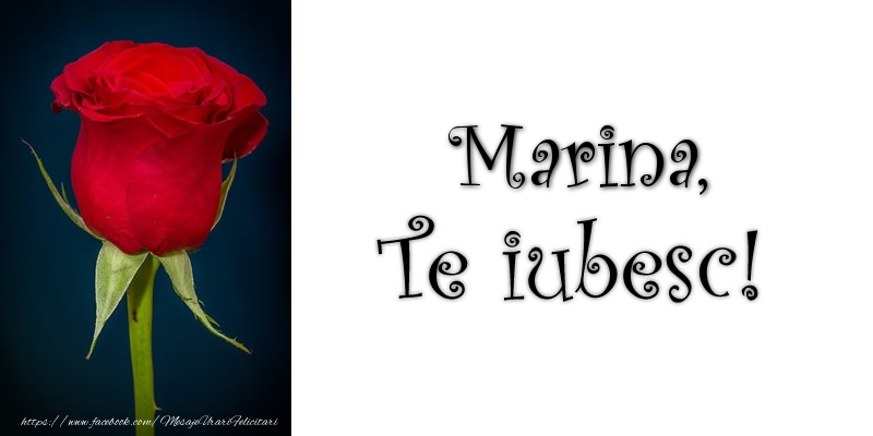 Felicitari de dragoste - Trandafiri | Marina Te iubesc!