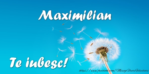 Felicitari de dragoste - Maximilian Te iubesc!