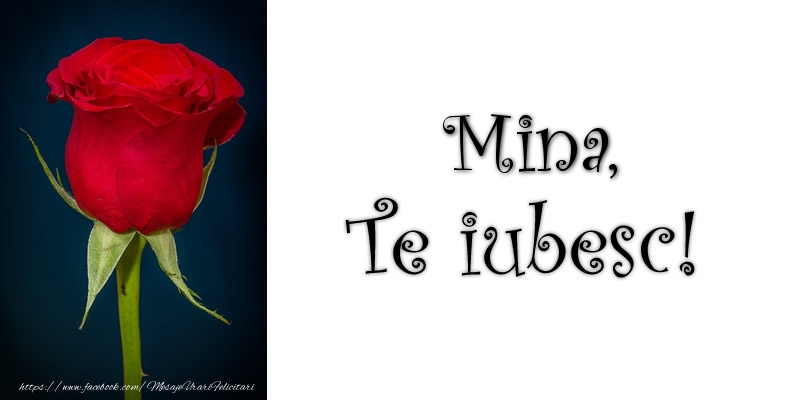 Felicitari de dragoste - Trandafiri | Mina Te iubesc!