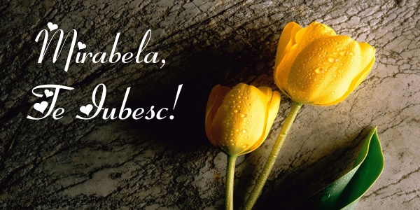 Felicitari de dragoste - Lalele | Mirabela, Te iubesc!