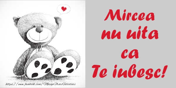 Felicitari de dragoste - Ursuleti | Mircea nu uita ca Te iubesc!