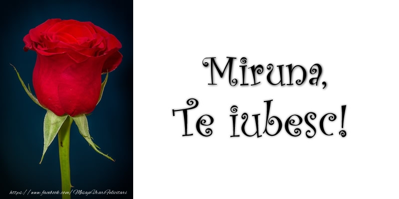 Felicitari de dragoste - Trandafiri | Miruna Te iubesc!