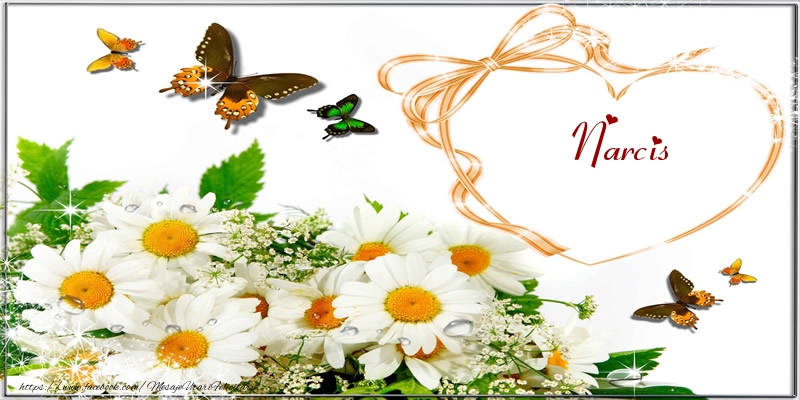 Felicitari de dragoste - Flori | I love you Narcis!