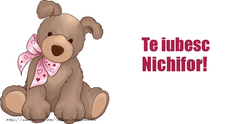 Felicitari de dragoste - Te iubesc Nichifor!