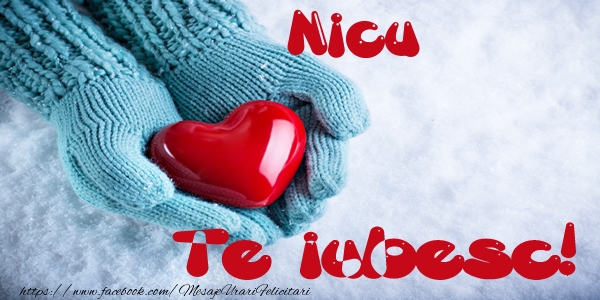 Felicitari de dragoste - Nicu Te iubesc!