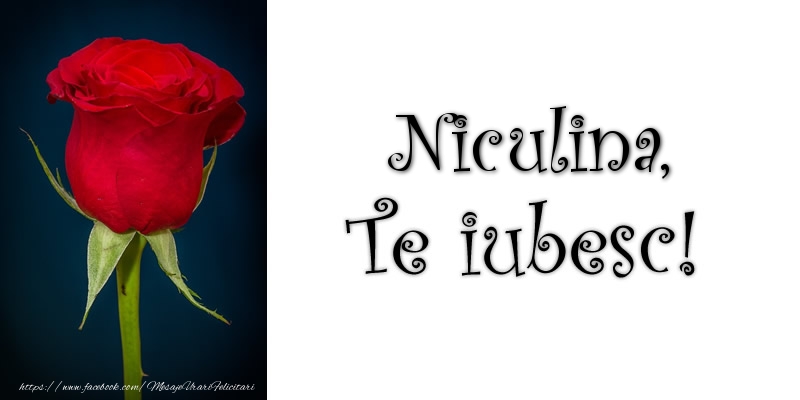 Felicitari de dragoste - Niculina Te iubesc!