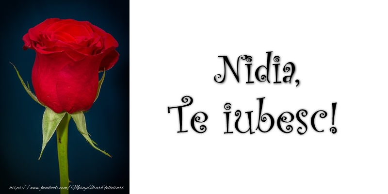 Felicitari de dragoste - Trandafiri | Nidia Te iubesc!