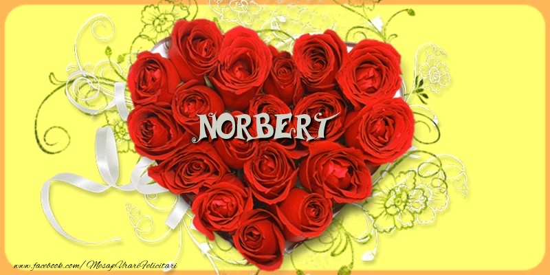 Felicitari de dragoste - Norbert