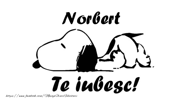 Felicitari de dragoste - Norbert Te iubesc!