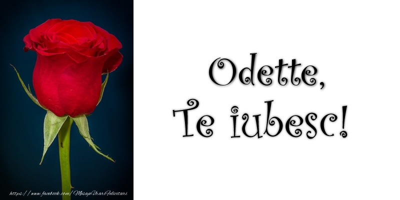 Felicitari de dragoste - Trandafiri | Odette Te iubesc!