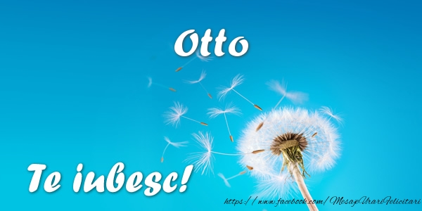 Felicitari de dragoste - Flori | Otto Te iubesc!