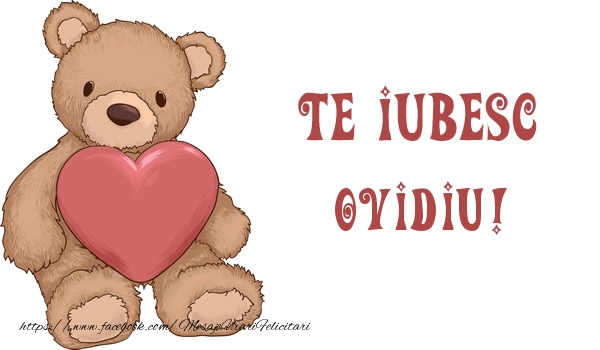 Felicitari de dragoste - Ursuleti | Te iubesc Ovidiu!