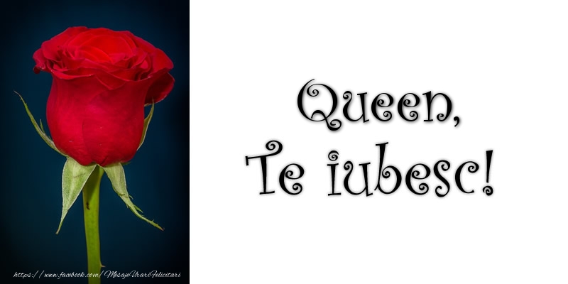 Felicitari de dragoste - Trandafiri | Queen Te iubesc!