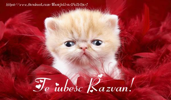 Felicitari de dragoste - Te iubesc Razvan!