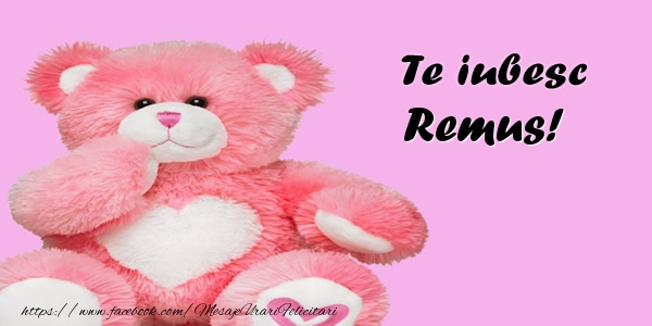 Felicitari de dragoste - Ursuleti | Te iubesc Remus!
