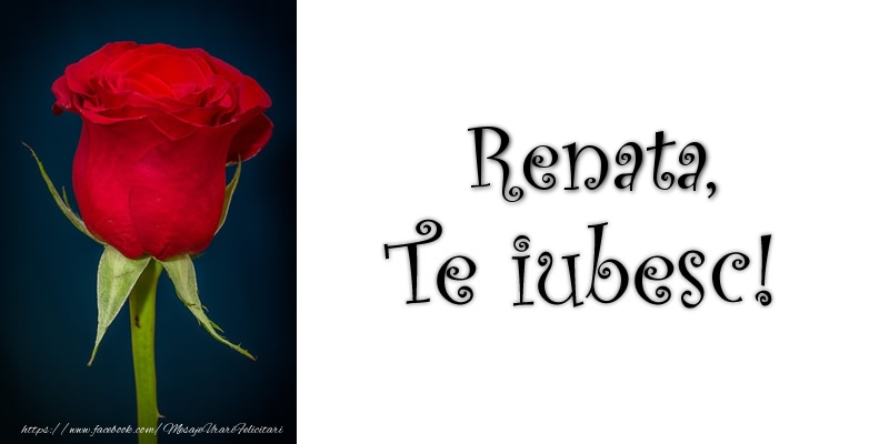 Felicitari de dragoste - Trandafiri | Renata Te iubesc!