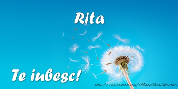 Felicitari de dragoste - Flori | Rita Te iubesc!