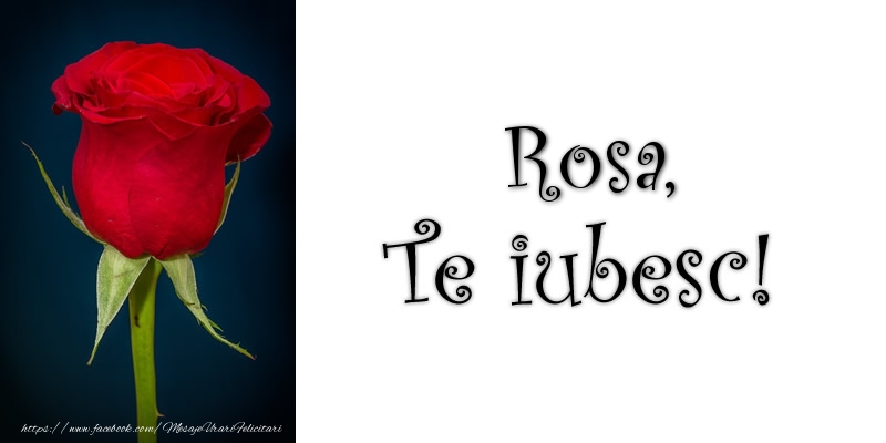 Felicitari de dragoste - Trandafiri | Rosa Te iubesc!