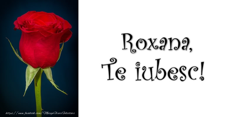 Felicitari de dragoste - Trandafiri | Roxana Te iubesc!
