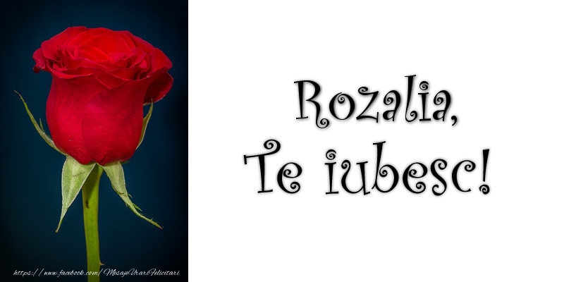 Felicitari de dragoste - Rozalia Te iubesc!