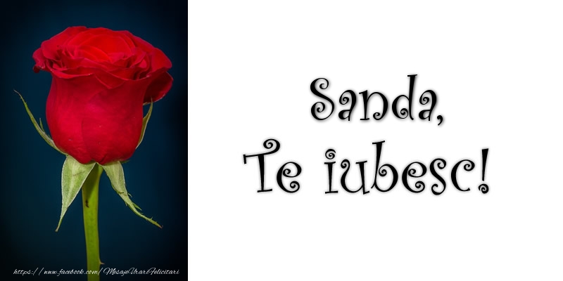 Felicitari de dragoste - Trandafiri | Sanda Te iubesc!
