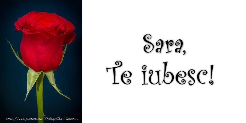 Felicitari de dragoste - Trandafiri | Sara Te iubesc!