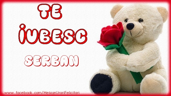 Felicitari de dragoste - Ursuleti | Te iubesc Serban