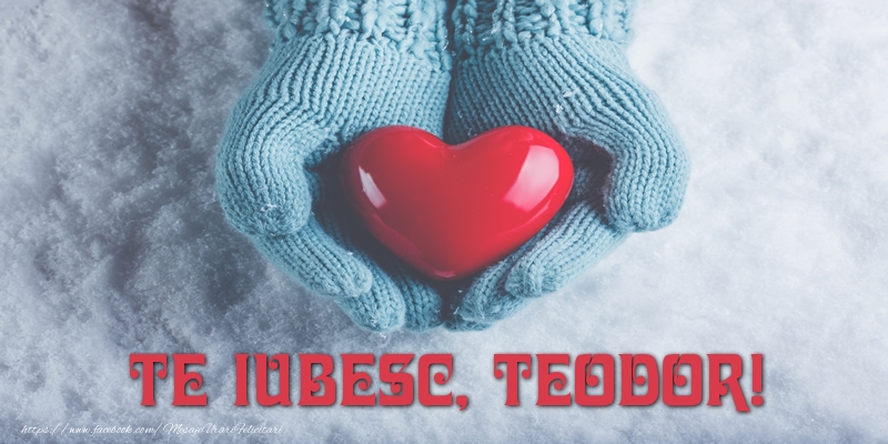 Felicitari de dragoste - TE IUBESC, Teodor!