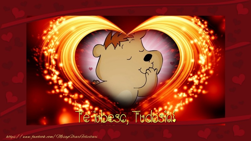 Felicitari de dragoste - Te iubesc, Tudosia!
