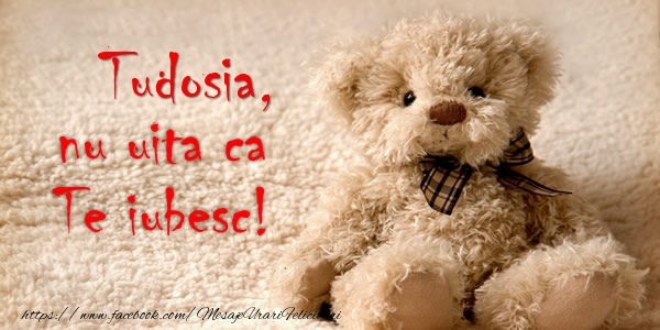 Felicitari de dragoste - Tudosia nu uita ca Te iubesc!
