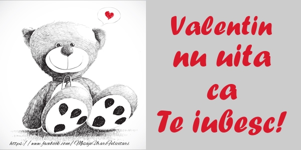 Felicitari de dragoste - Ursuleti | Valentin nu uita ca Te iubesc!