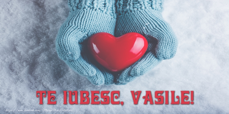 Felicitari de dragoste - TE IUBESC, Vasile!