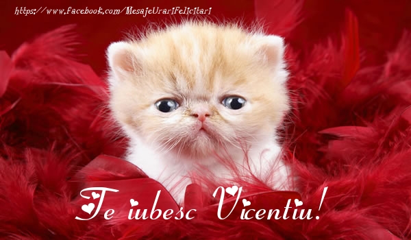 Felicitari de dragoste - Te iubesc Vicentiu!