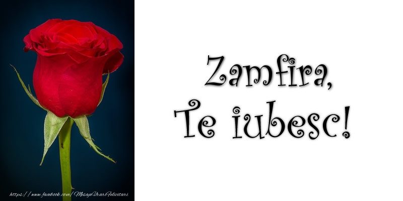 Felicitari de dragoste - Trandafiri | Zamfira Te iubesc!
