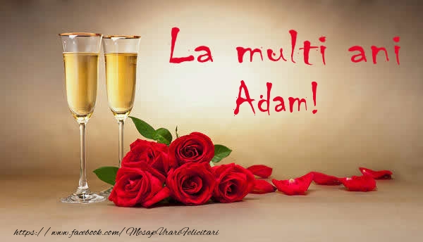 Felicitari de la multi ani - Flori & Sampanie | La multi ani Adam!