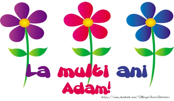 Felicitari de la multi ani - Flori | La multi ani Adam!