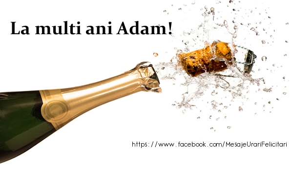 Felicitari de la multi ani - La multi ani Adam!