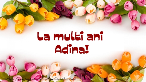 felicitare la multi ani adina La multi ani Adina!