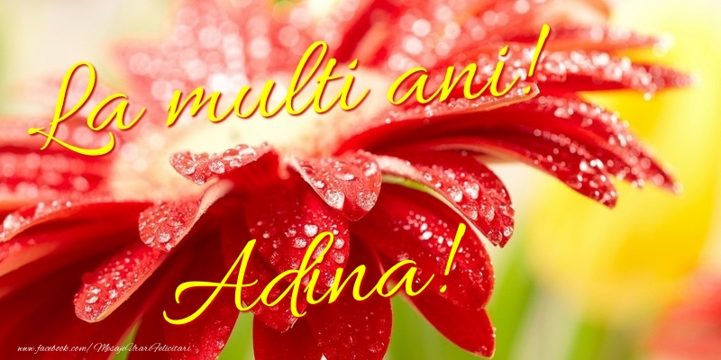 Felicitari de la multi ani - La multi ani! Adina