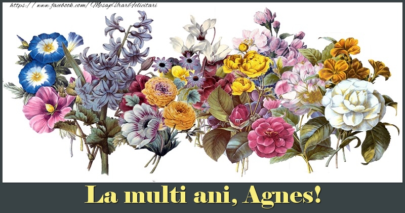 Felicitari de la multi ani - Flori | La multi ani, Agnes!