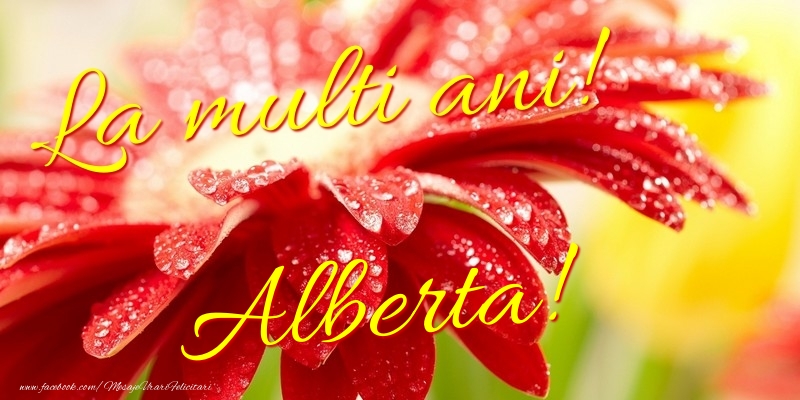 Felicitari de la multi ani - La multi ani! Alberta