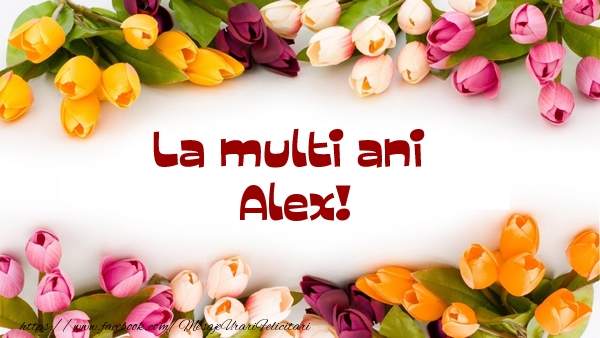 Felicitari de la multi ani - Flori | La multi ani Alex!