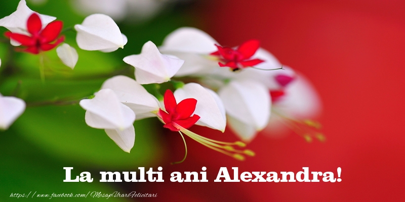 la mulți ani alexandra La multi ani Alexandra!