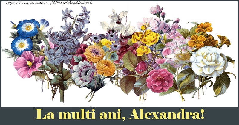 Felicitari de la multi ani - Flori | La multi ani, Alexandra!