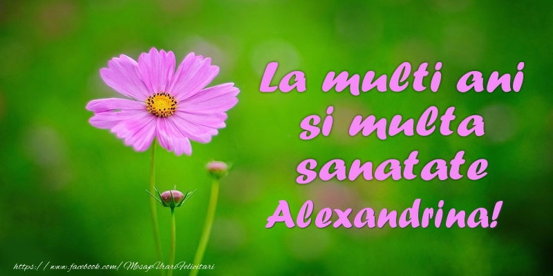 Felicitari de la multi ani - Flori | La multi ani si multa sanatate Alexandrina!