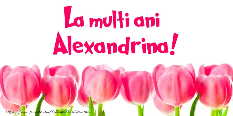 Felicitari de la multi ani - Flori & Lalele | La multi ani Alexandrina!